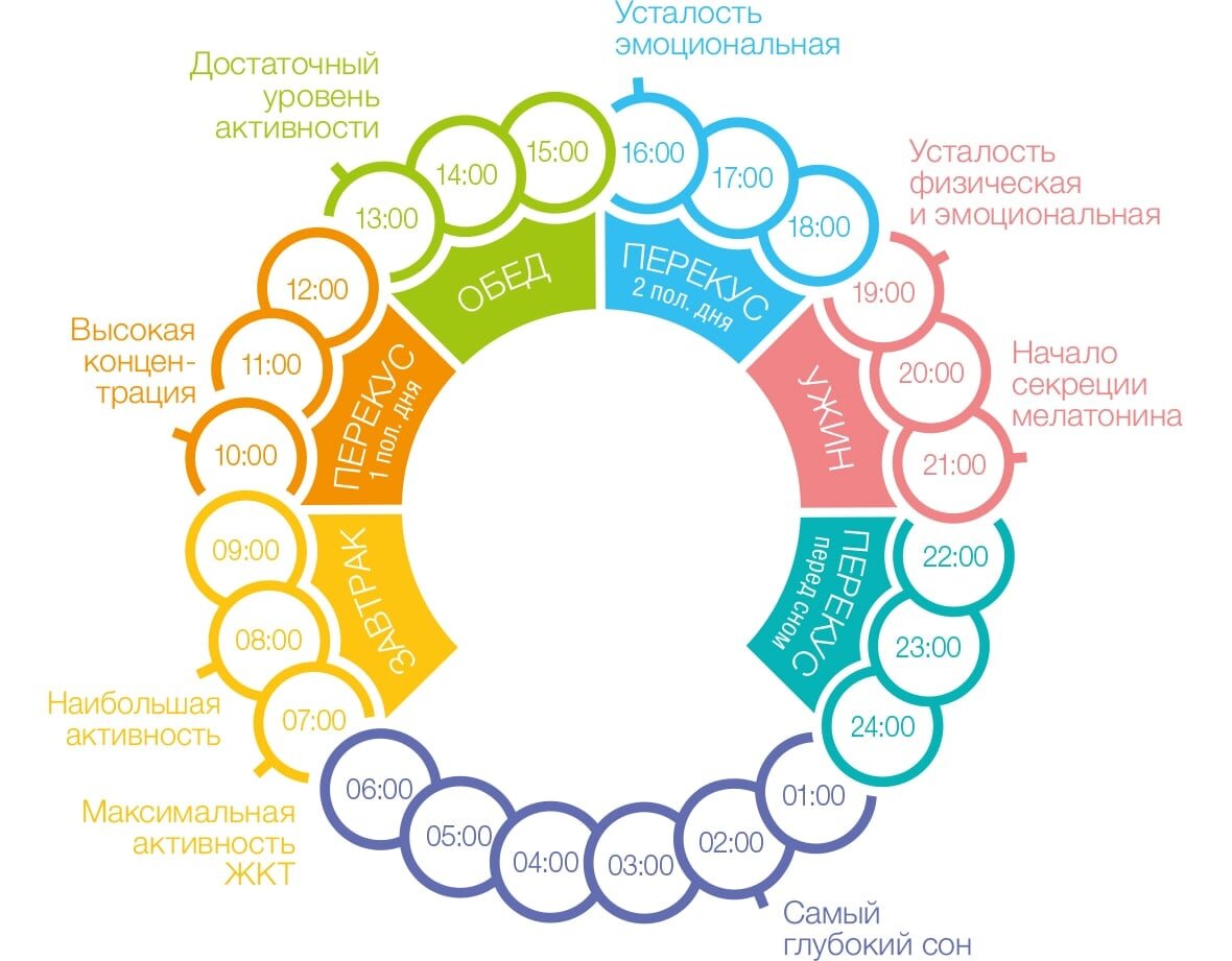 правильный завтрак гербалайф картинки. Смотреть фото правильный завтрак гербалайф картинки. Смотреть картинку правильный завтрак гербалайф картинки. Картинка про правильный завтрак гербалайф картинки. Фото правильный завтрак гербалайф картинки