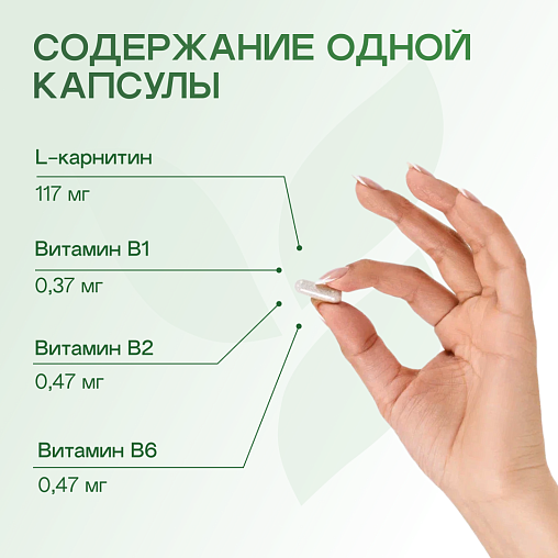 Клеточный Активатор